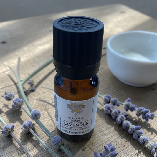 Lavender - Pure Essential Oil