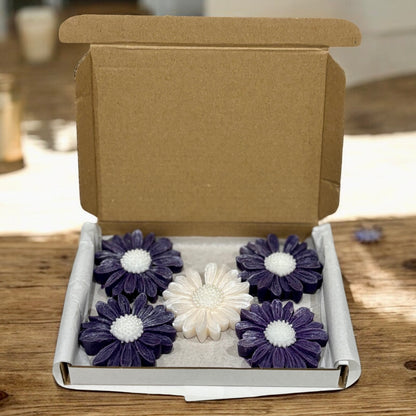 Vision - Daisy Shaped Wax Melts
